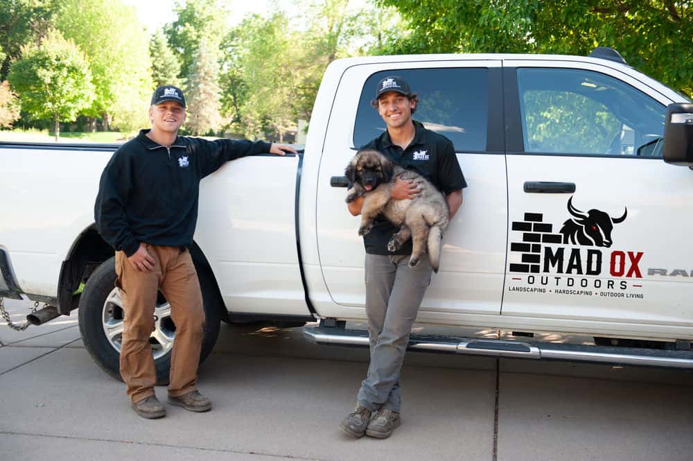 Hero image for Mad Ox Outdoors