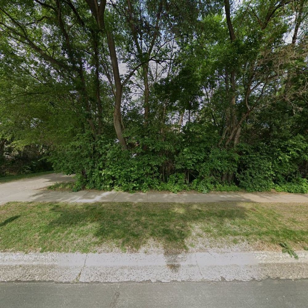 Dense green foliage along a sidewalk in a residential area with trees and bushes.