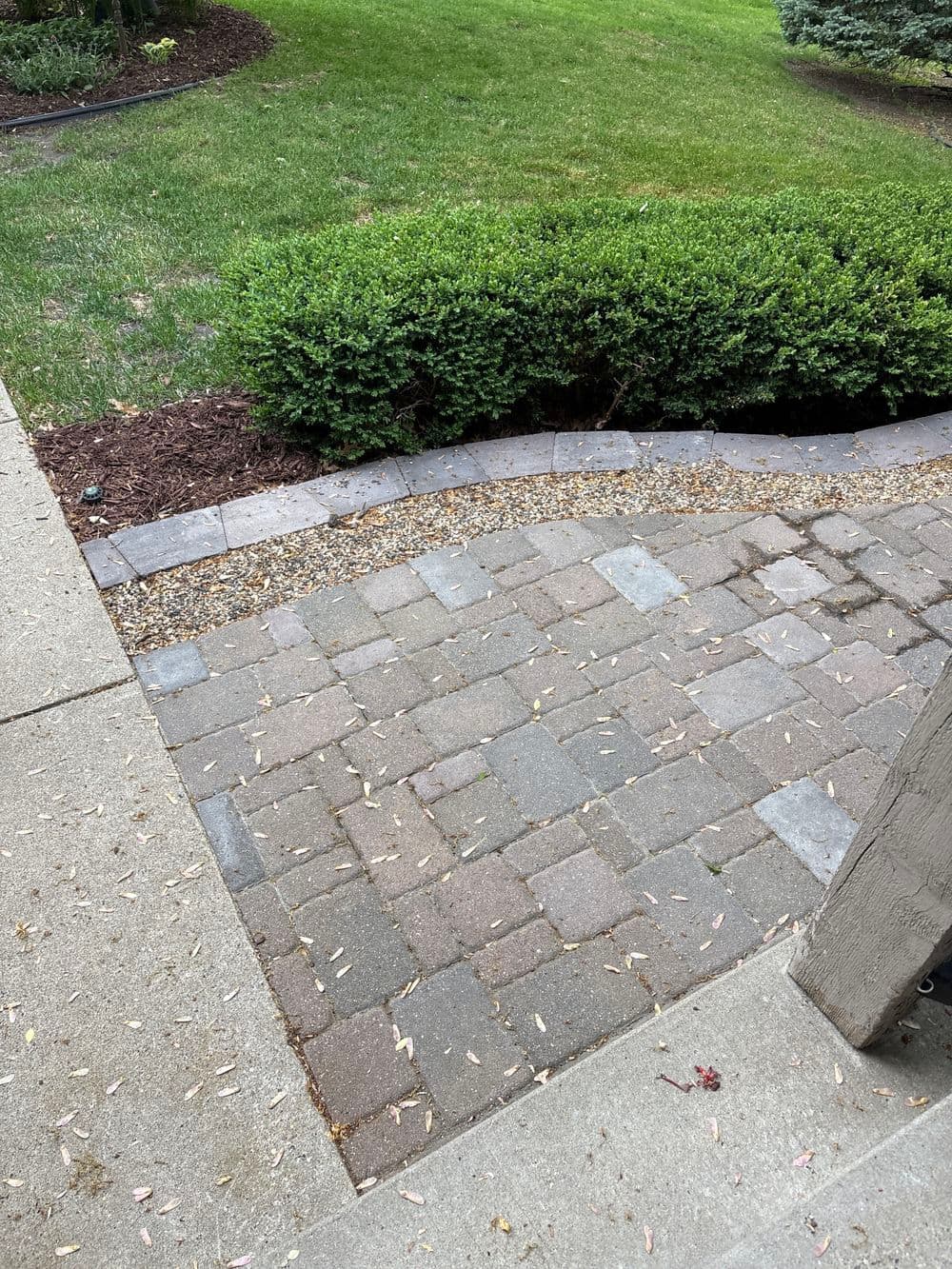 Paved pathway with greenery and landscaping in a residential yard.